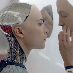 “The Turing Test” — Derek Shreds
